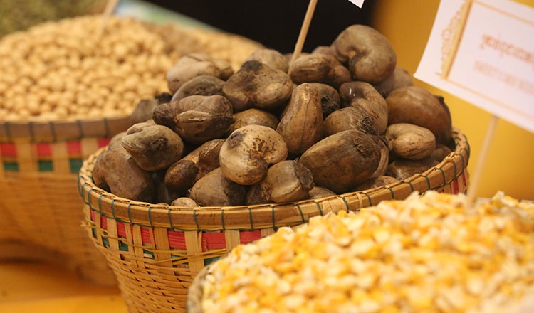 Kinh doanh xuất nhập khẩu nông sản như hạt điều, ngô, sắn, mỳ, đậu tương